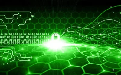 ALL IP bajo control – Parte 2