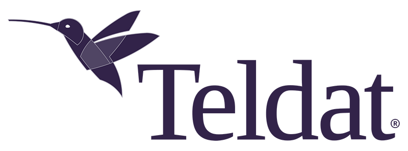 Teldat Corporate Logo Header