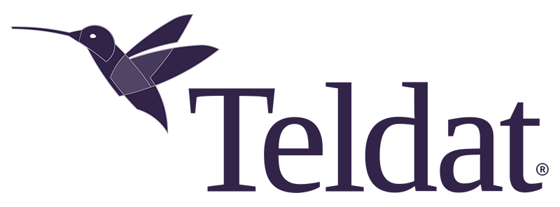 logo teldat