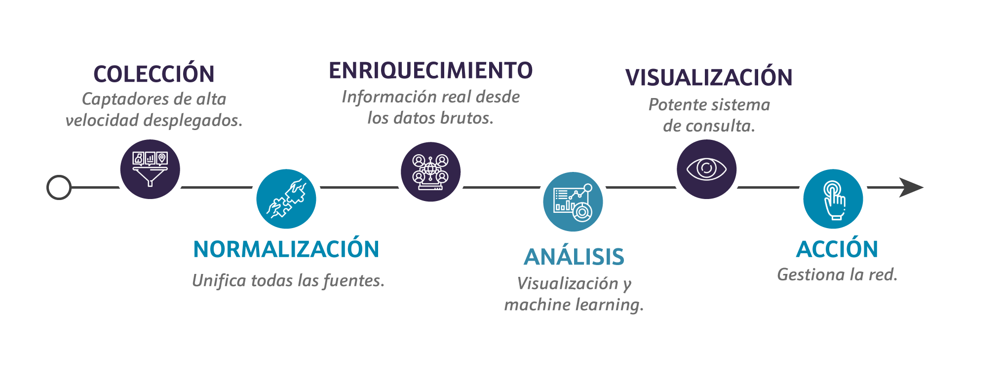 be.analyzer-infographics_short_es borrar