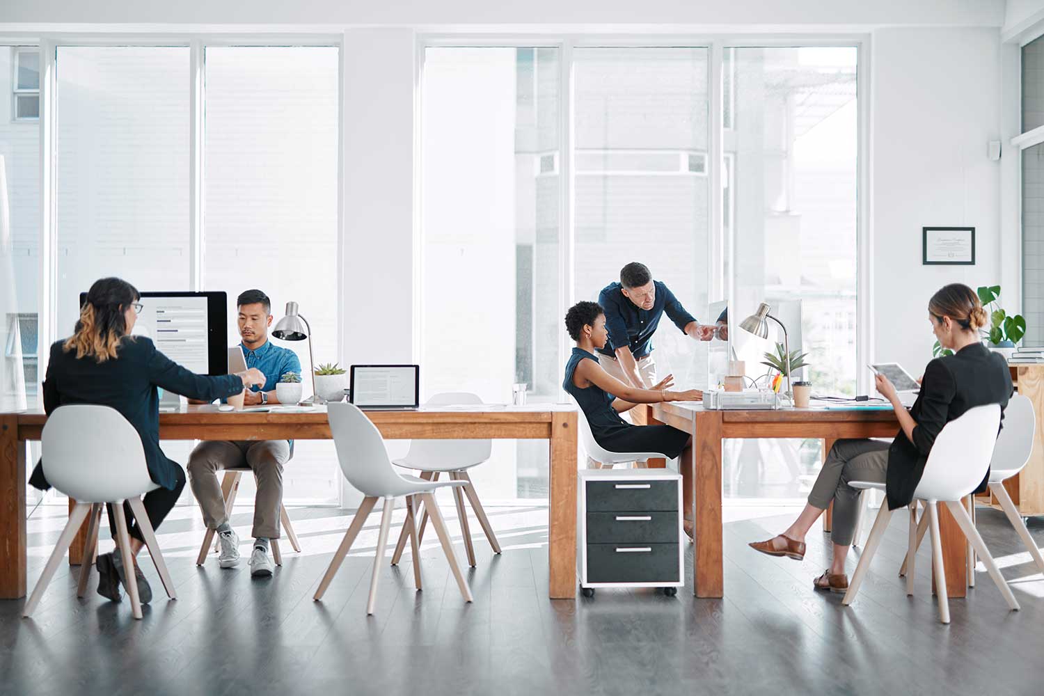 branch_large_office_marketoverview borrar