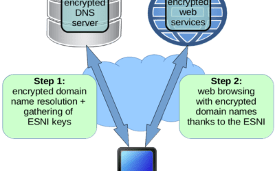 Moving towards a fully encrypted Internet: DNS encryption and ESNI in TLS